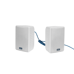 ZYCOO APS-W1 — Настенный динамик
